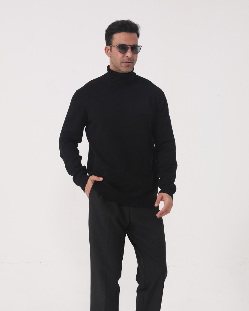 Sergio | Merino Wool Turtle Neck