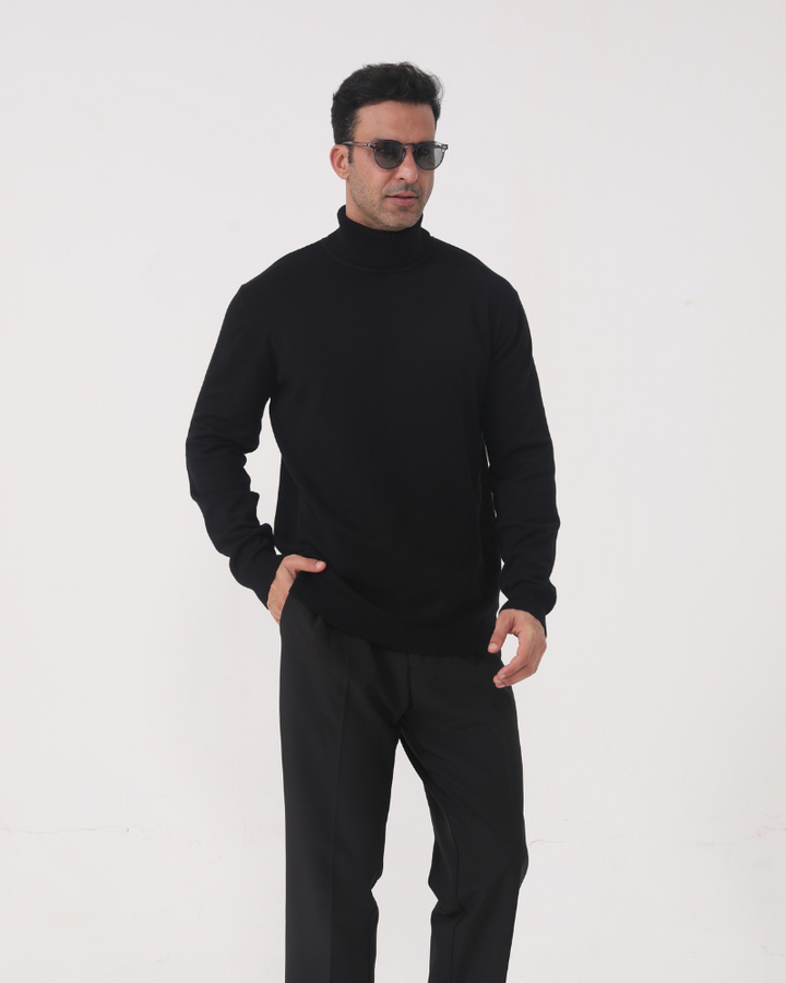 Sergio | Merino Wool Turtle Neck