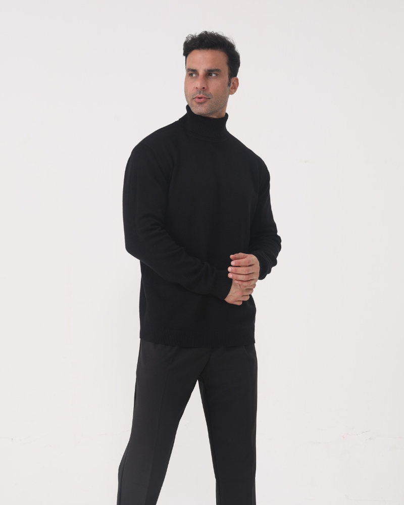 Sergio | Merino Wool Turtle Neck