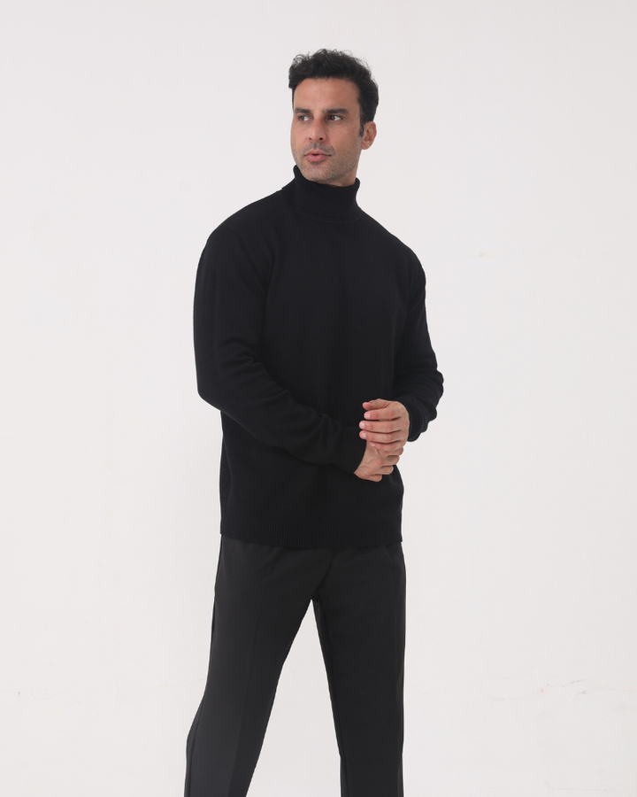 Sergio | Merino Wool Turtle Neck