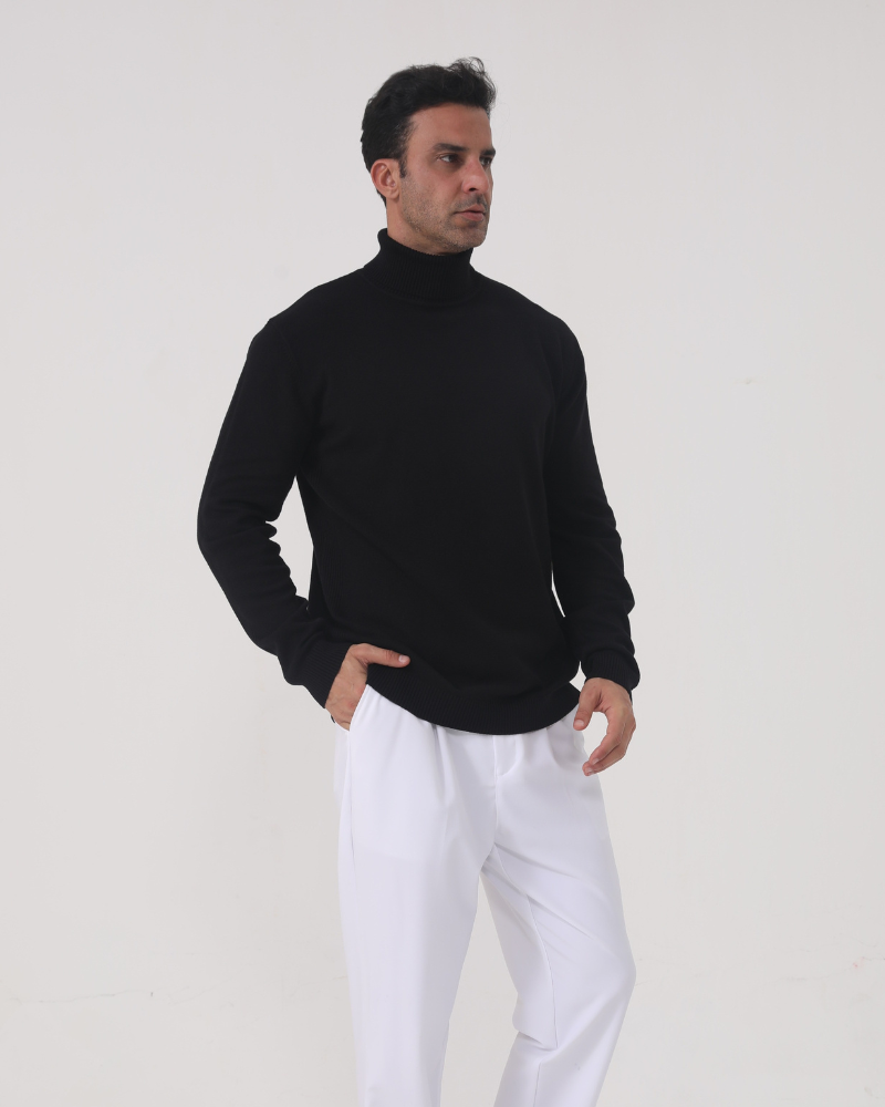 Sergio | Merino Wool Turtle Neck