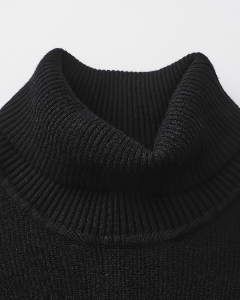 Sergio | Merino Wool Turtle Neck