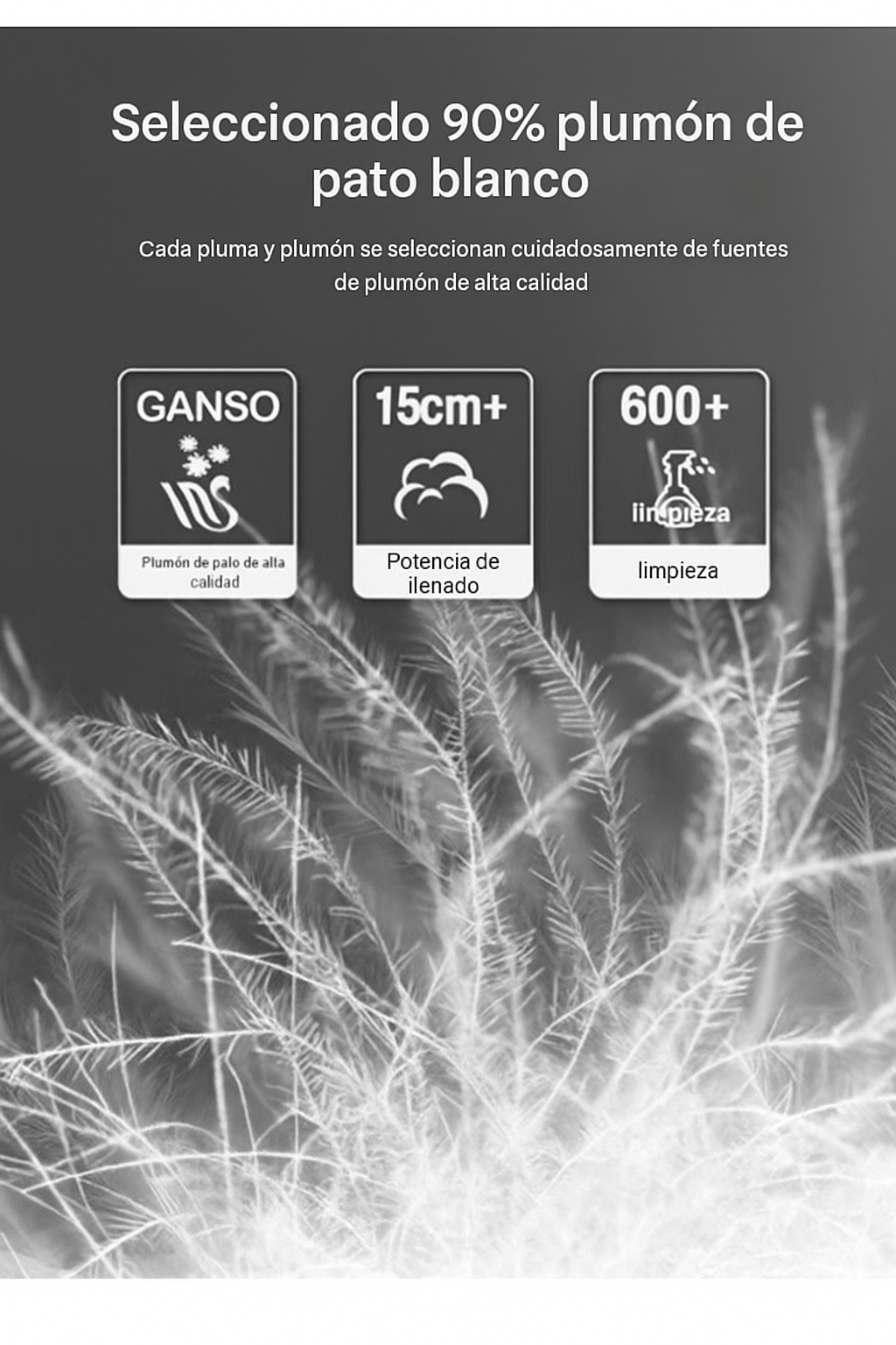 Ariston | Premium Hybrid Jacket