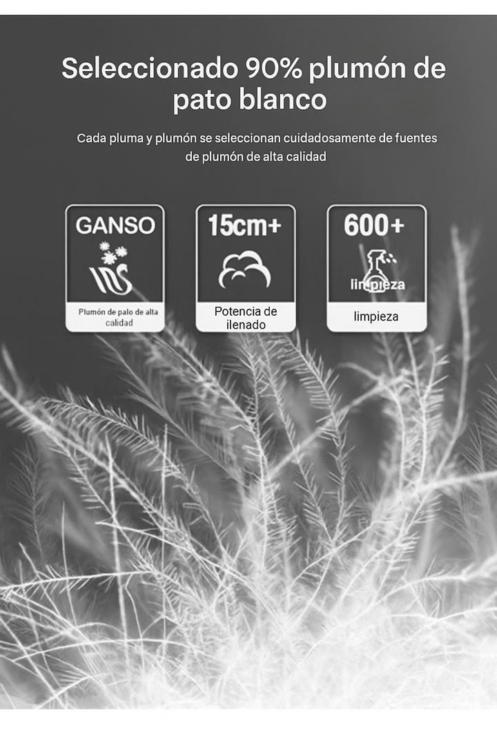 Ariston | Premium Hybrid Jacket